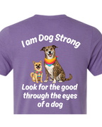 Look for the Good — Bright Edition  | Short Sleeve T-shirt